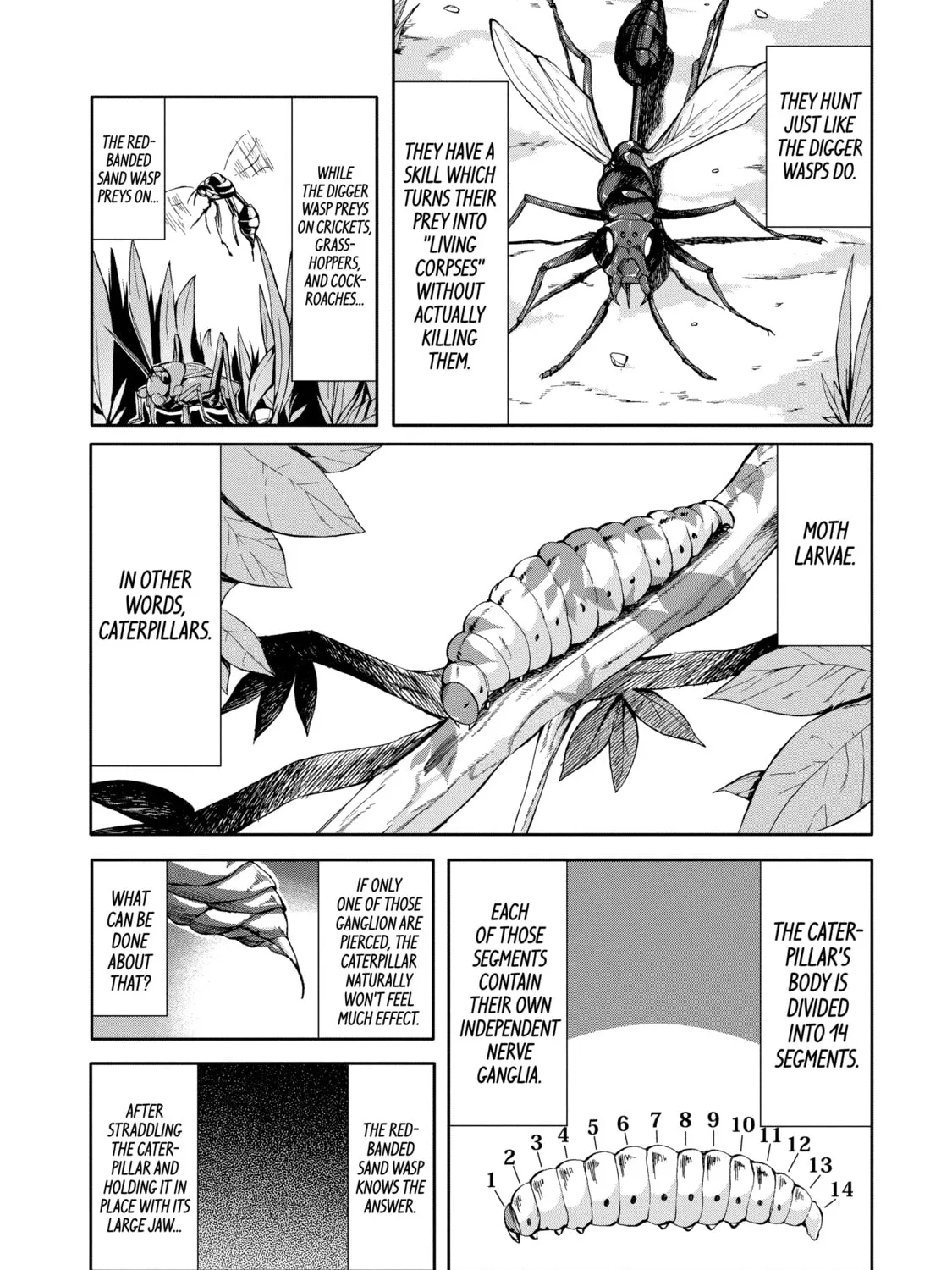 Read Arachnid chapter 28 image 8 on Lezhin