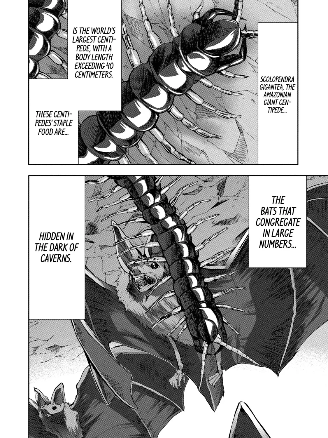 Read Arachnid chapter 29 image 14 on Lezhin