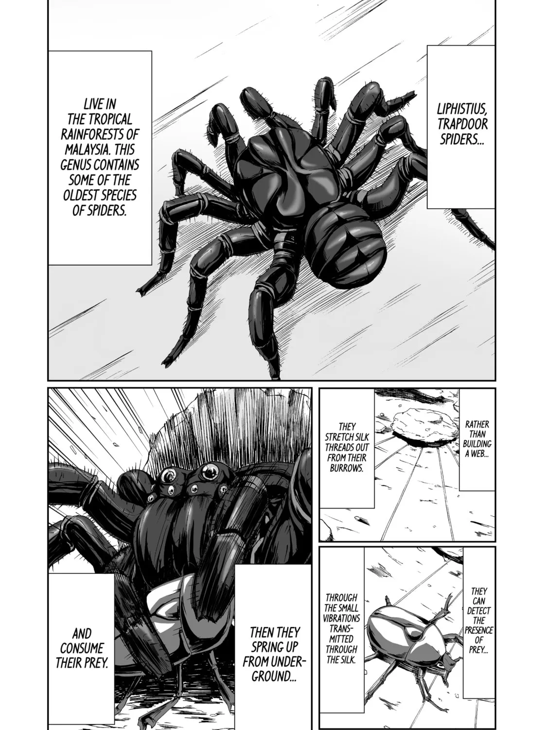 Read Arachnid chapter 3 image 2 on Lezhin