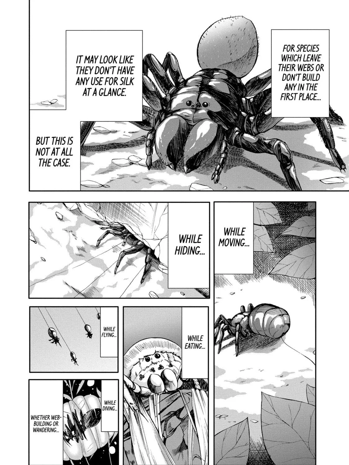 Read Arachnid chapter 31 image 64 on Lezhin