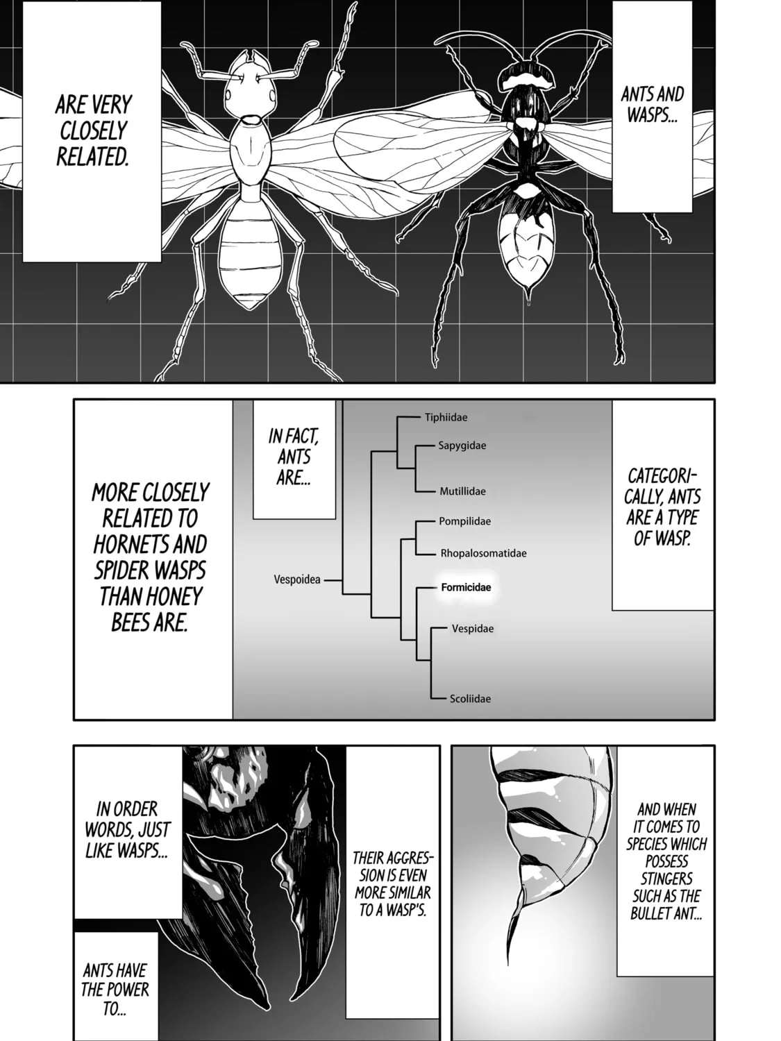 Read Arachnid chapter 46 image 24 on Lezhin