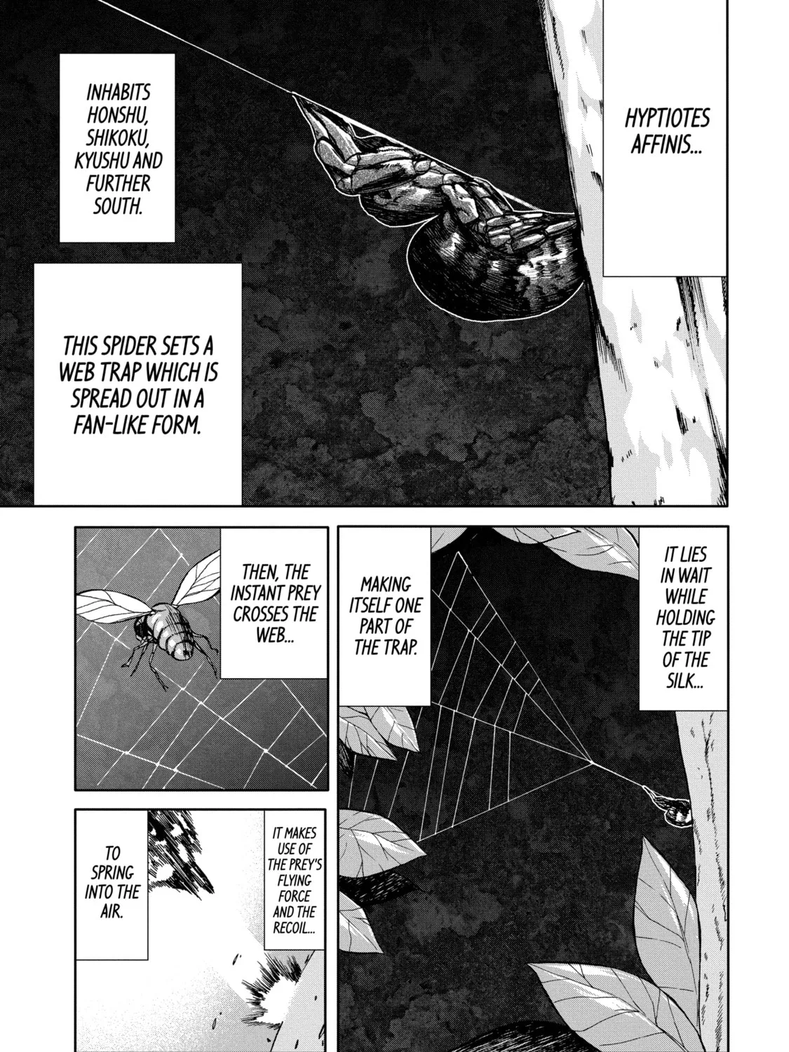 Read Arachnid chapter 49 image 24 on Lezhin