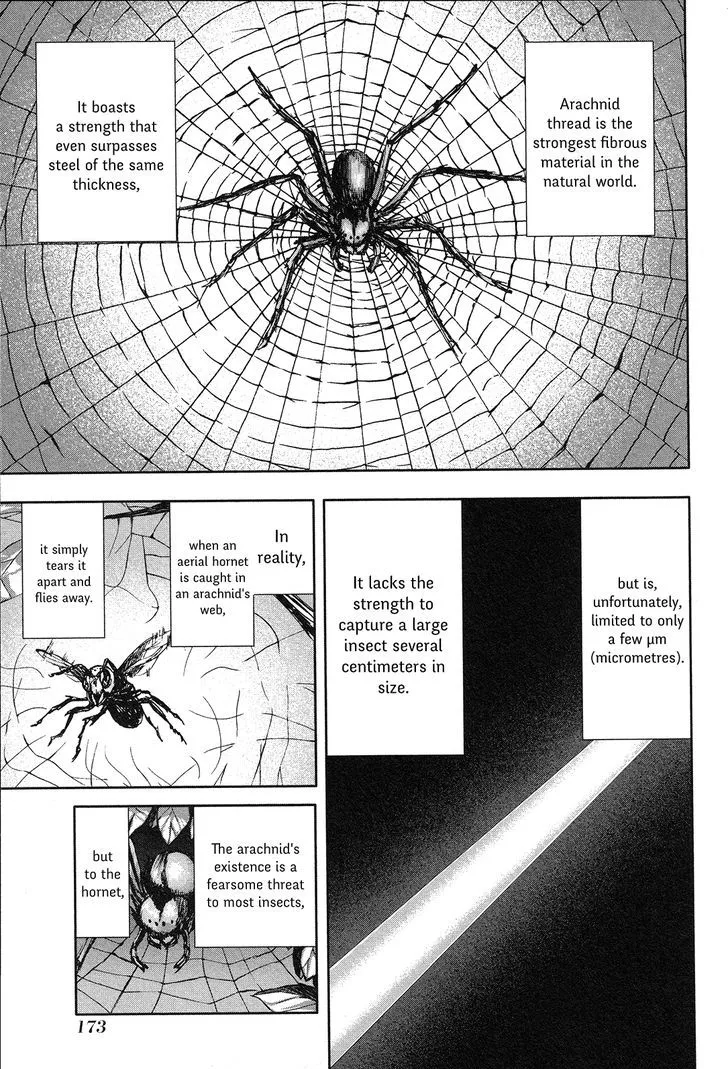 Read Arachnid chapter 66 image 2 on Lezhin