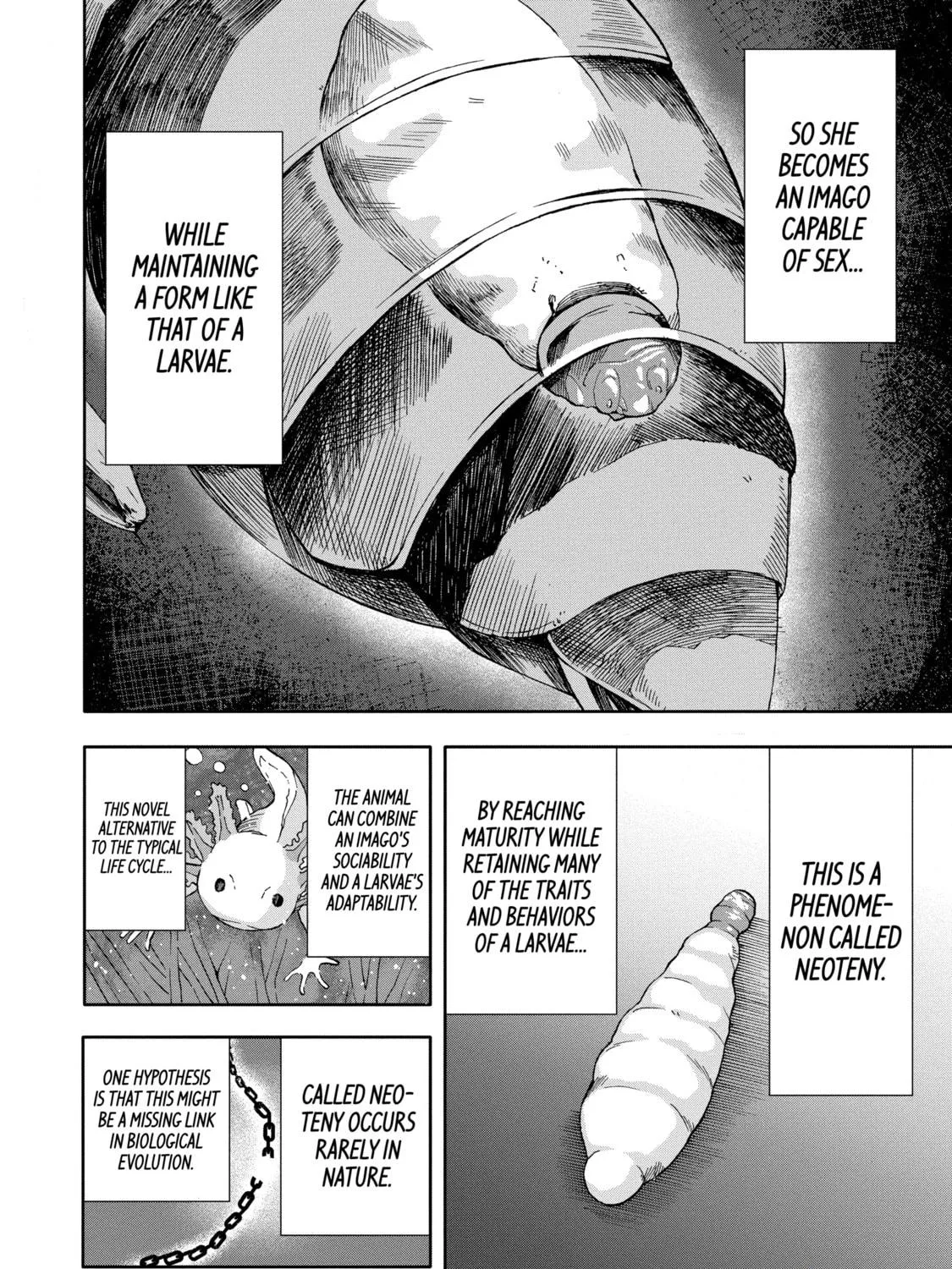 Read Arachnid chapter 68 image 28 on Lezhin