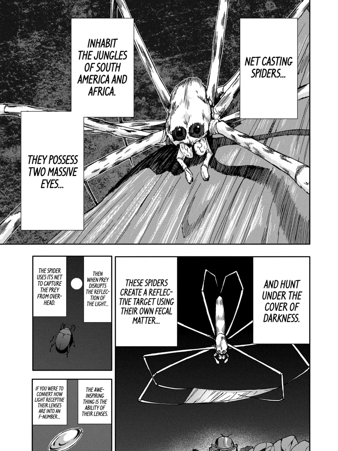 Read Arachnid chapter 70 image 54 on Lezhin