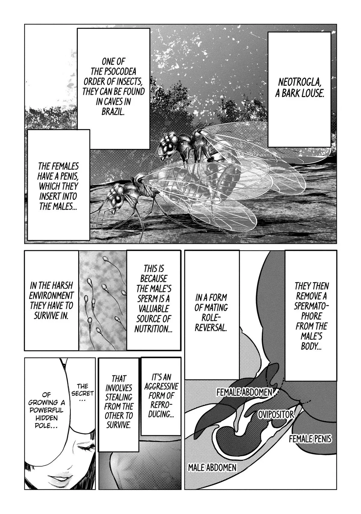 Read Arachnid chapter 84 image 13 on Lezhin