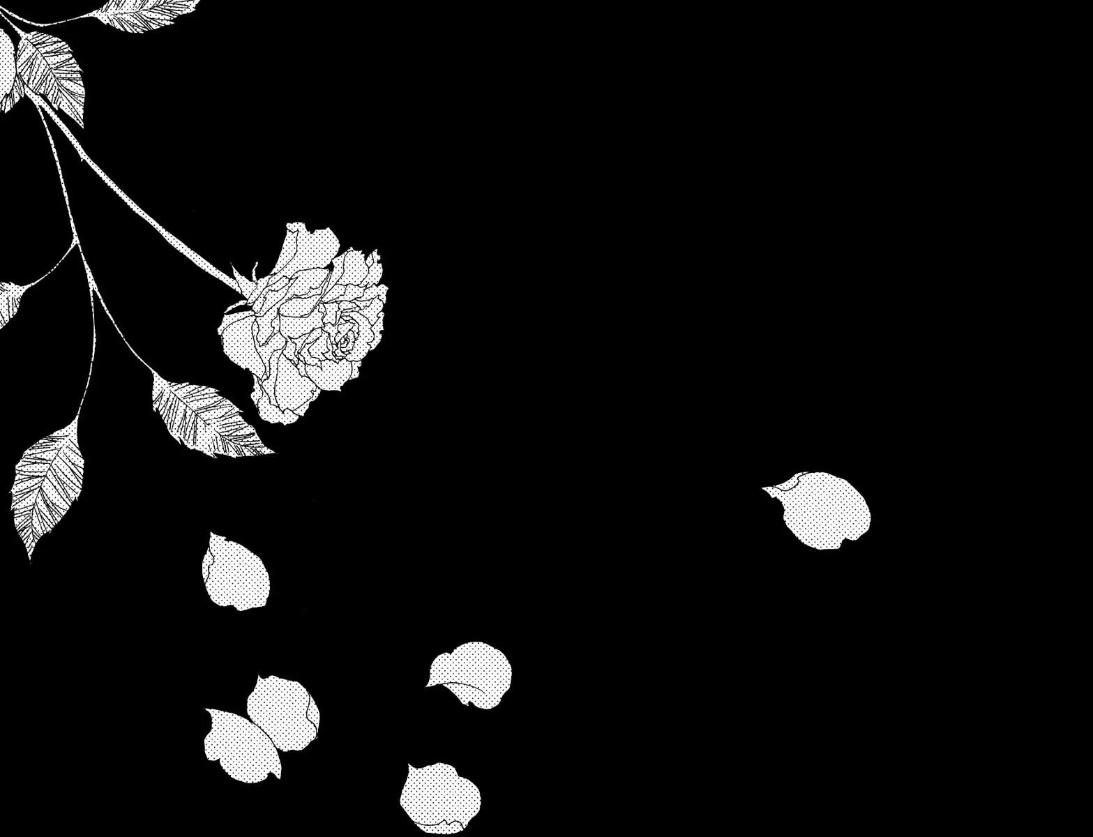 Read Arcana chapter 14.2 image 60 on Lezhin