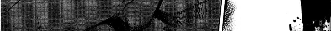Read Archlord chapter 25 image 49 on Lezhin