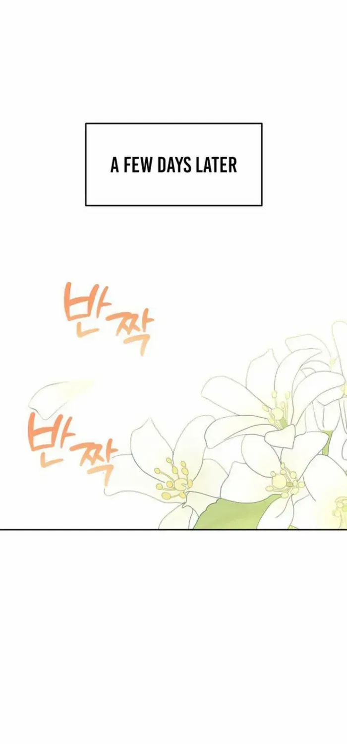 Read Archmage Transcending Through Regression chapter 154 image 33 on Lezhin