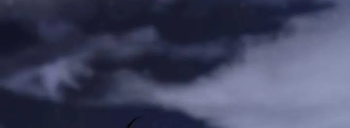 Read Archmage Transcending Through Regression chapter 174 image 102 on Lezhin