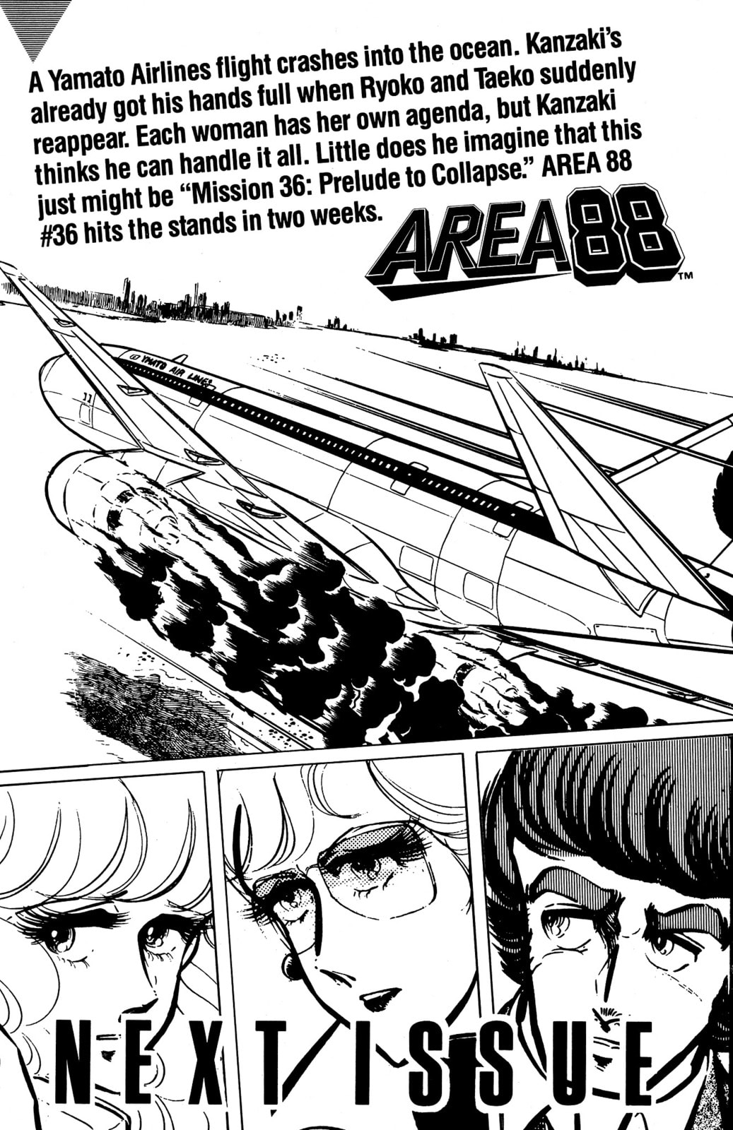 Area 88 Chapter 35 page 35 - 