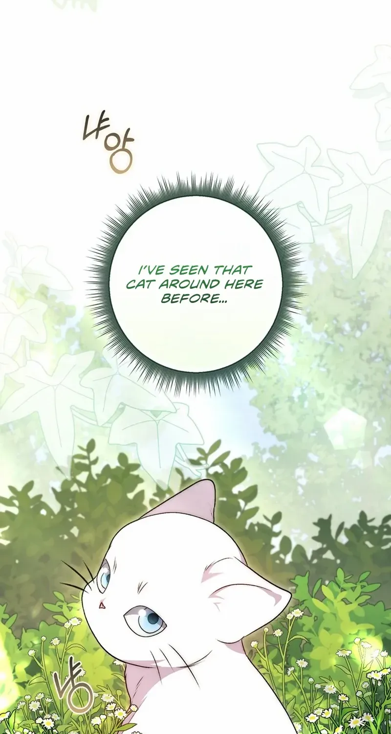 Arelyn Is Sick and Tired Chapter 2 page 38 - 