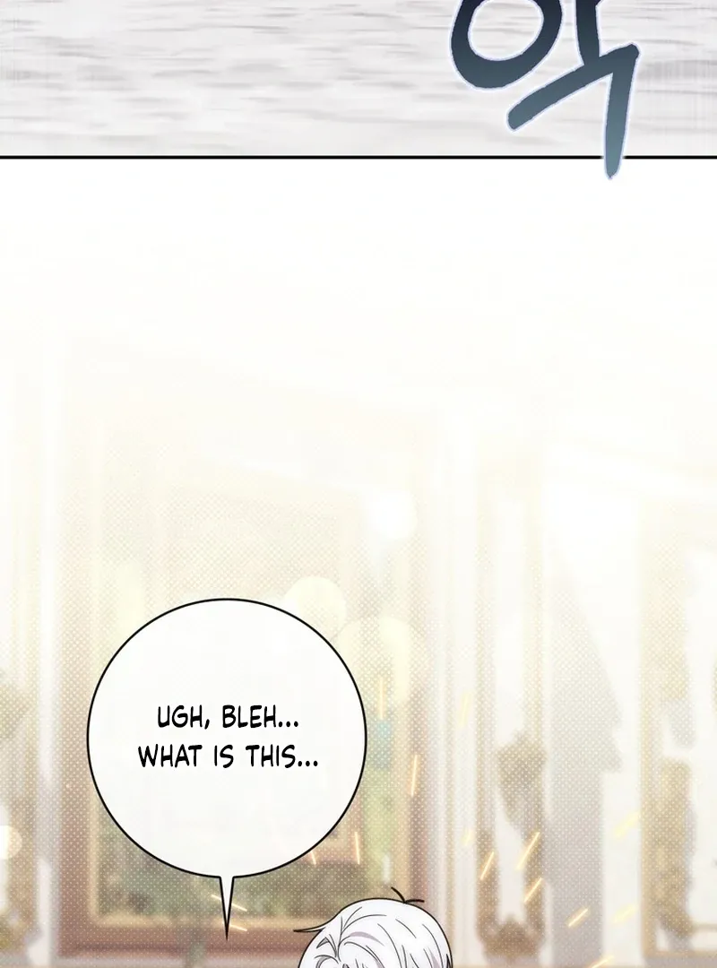 Arelyn Is Sick and Tired Chapter 27 page 4 - 