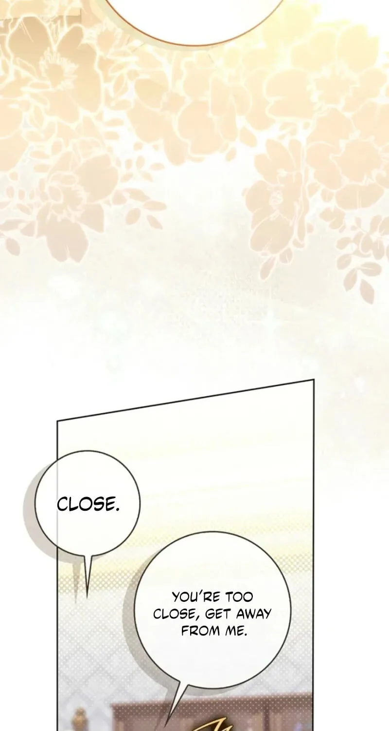 Arelyn Is Sick and Tired Chapter 74 page 66 - 