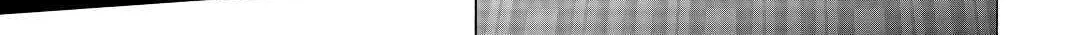 Read Argate Online chapter 34 image 45 on Lezhin