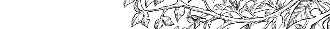 Read Aria chapter 16 image 1 on Lezhin