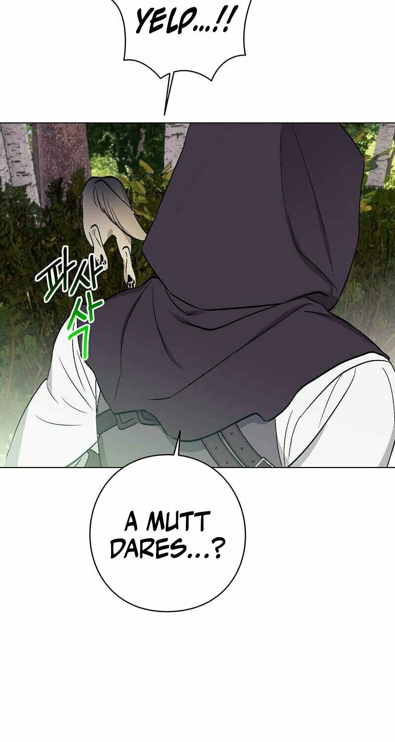 Read Aromatic Love chapter 1 image 48 on Lezhin
