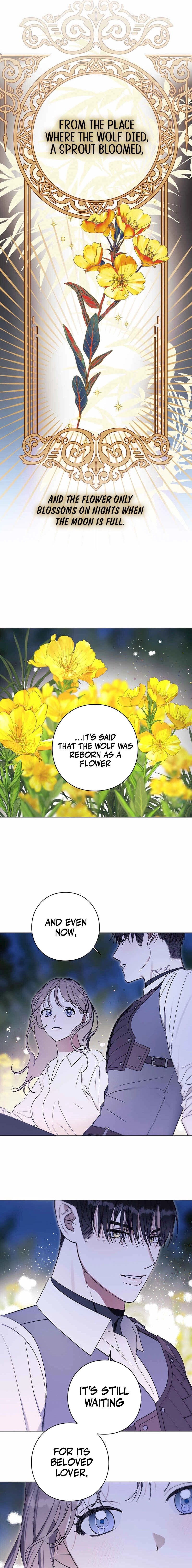Read Aromatic Love chapter 11 image 2 on Lezhin