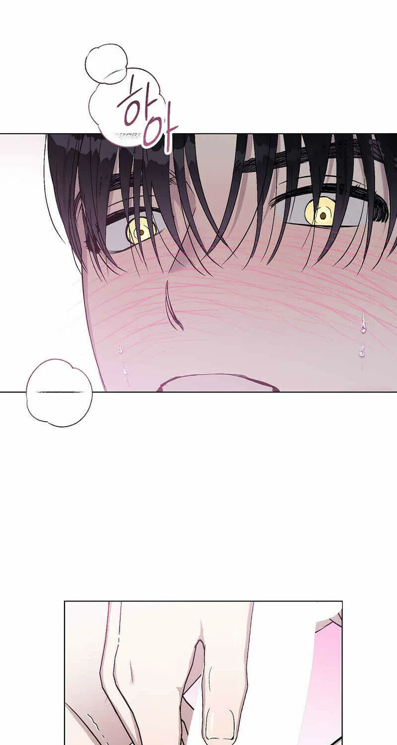 Read Aromatic Love chapter 2 image 48 on Lezhin
