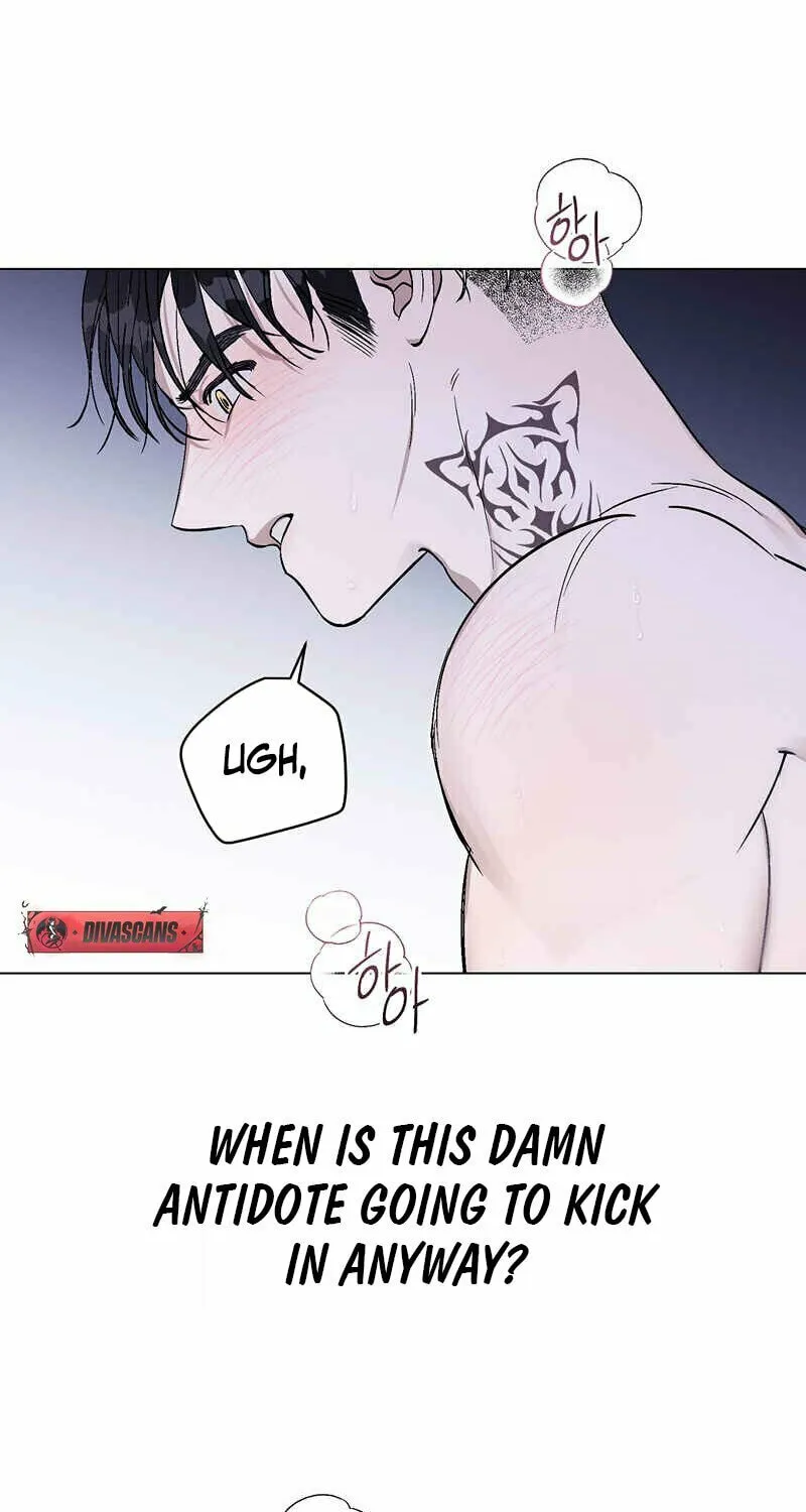 Read Aromatic Love chapter 2 image 58 on Lezhin