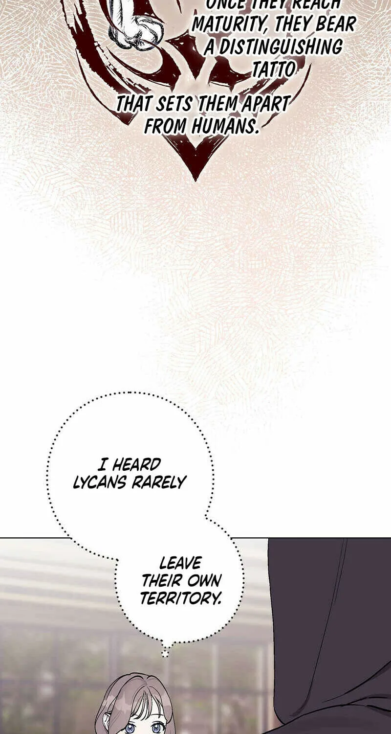 Read Aromatic Love chapter 3 image 16 on Lezhin