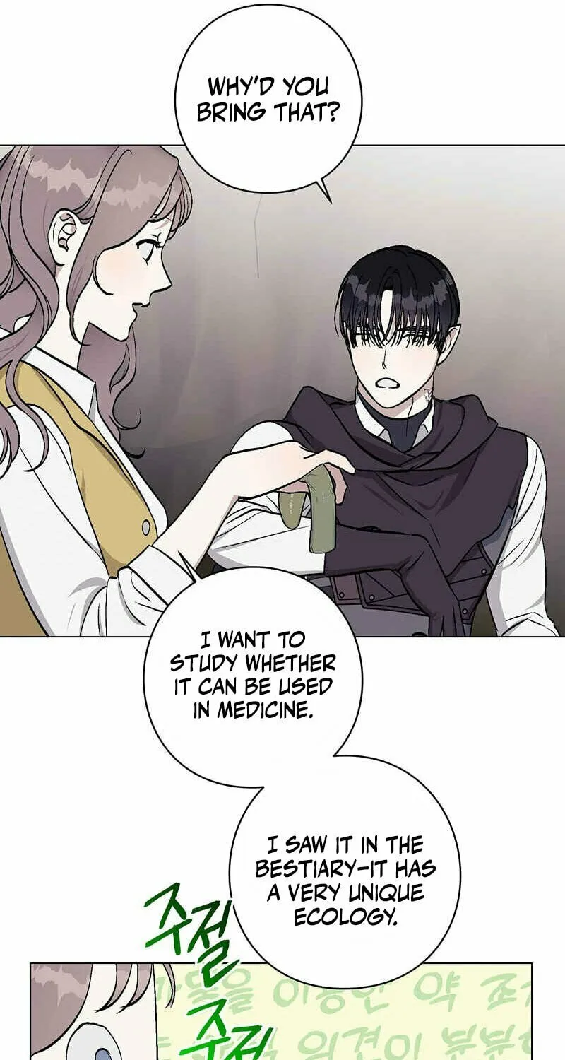 Read Aromatic Love chapter 3 image 50 on Lezhin