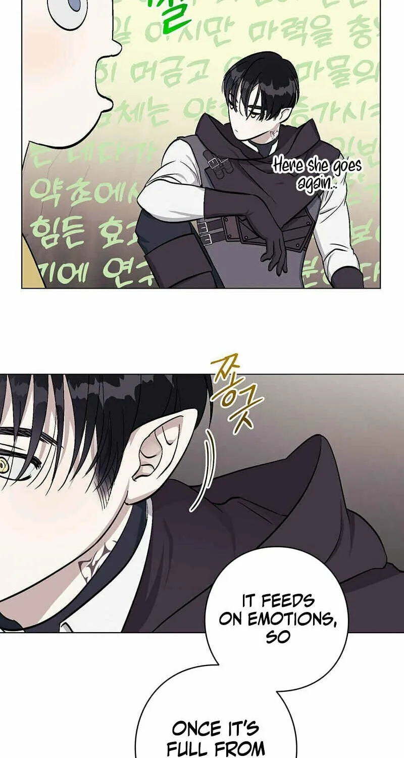 Read Aromatic Love chapter 3 image 51 on Lezhin