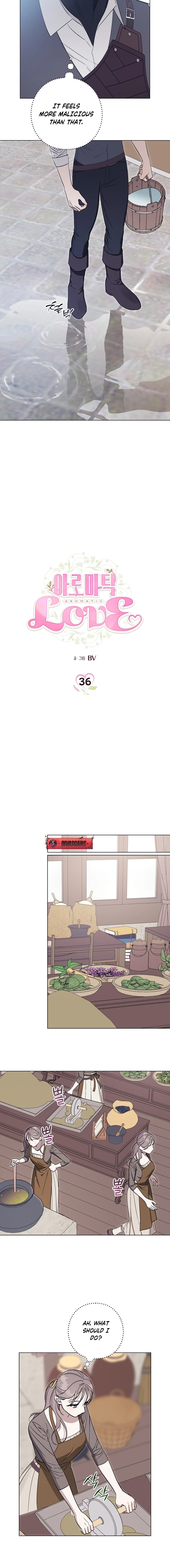 Read Aromatic Love chapter 36 image 1 on Lezhin