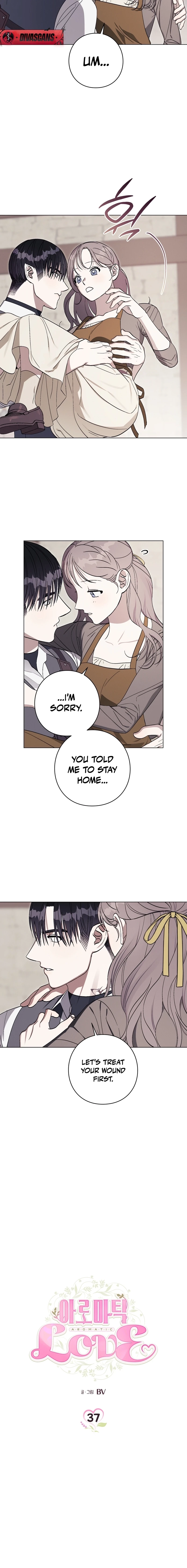 Read Aromatic Love chapter 37 image 1 on Lezhin