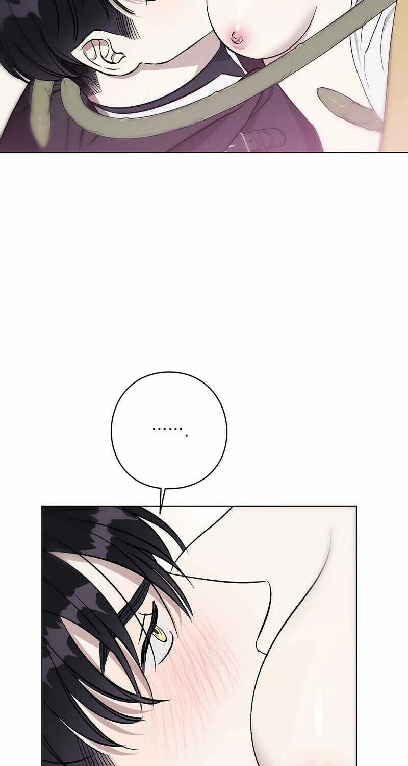 Read Aromatic Love chapter 4 image 37 on Lezhin