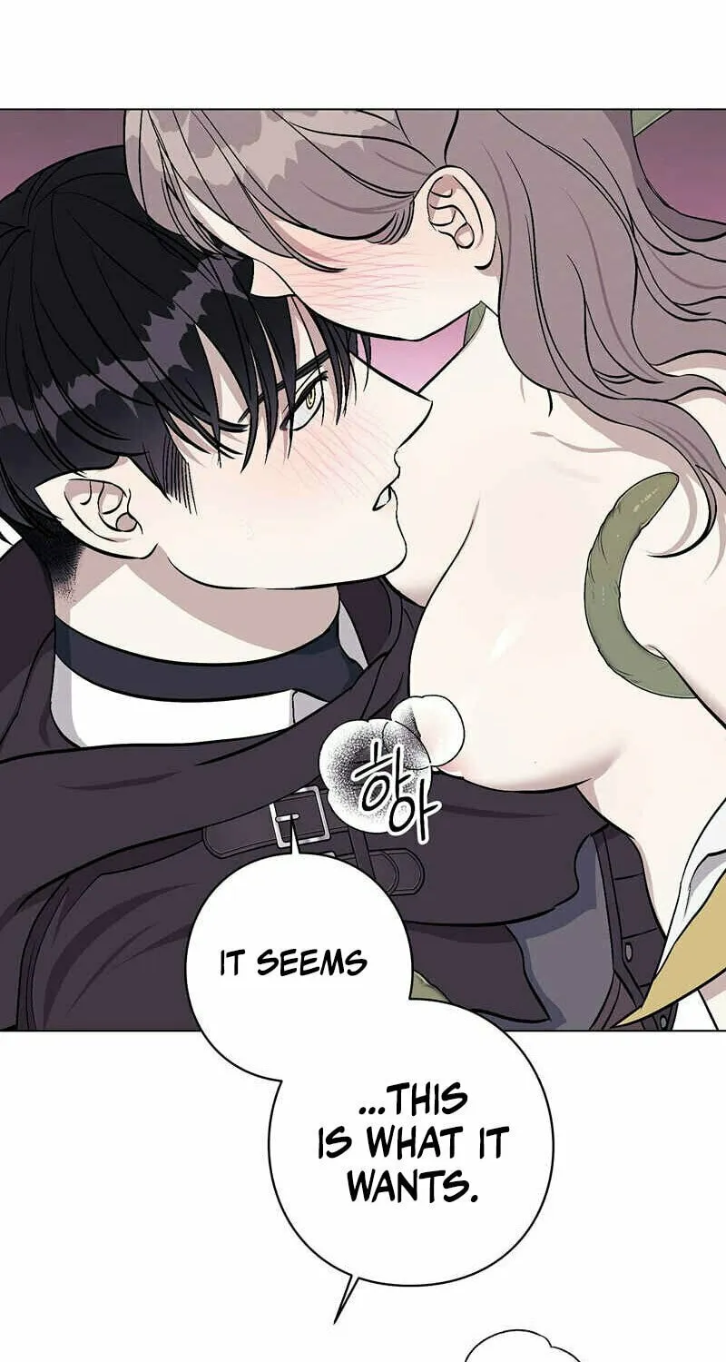 Read Aromatic Love chapter 4 image 40 on Lezhin