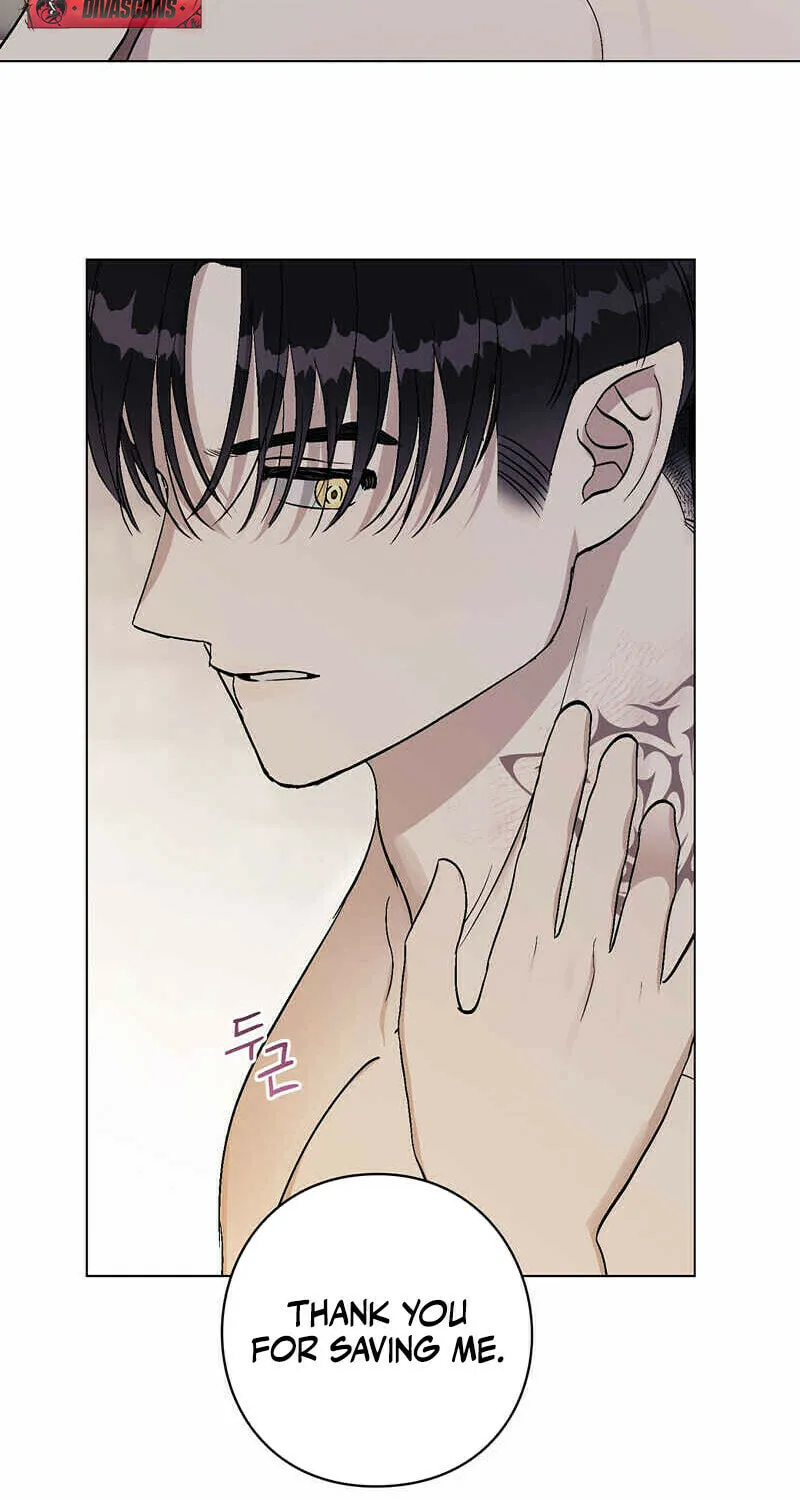 Read Aromatic Love chapter 5 image 42 on Lezhin