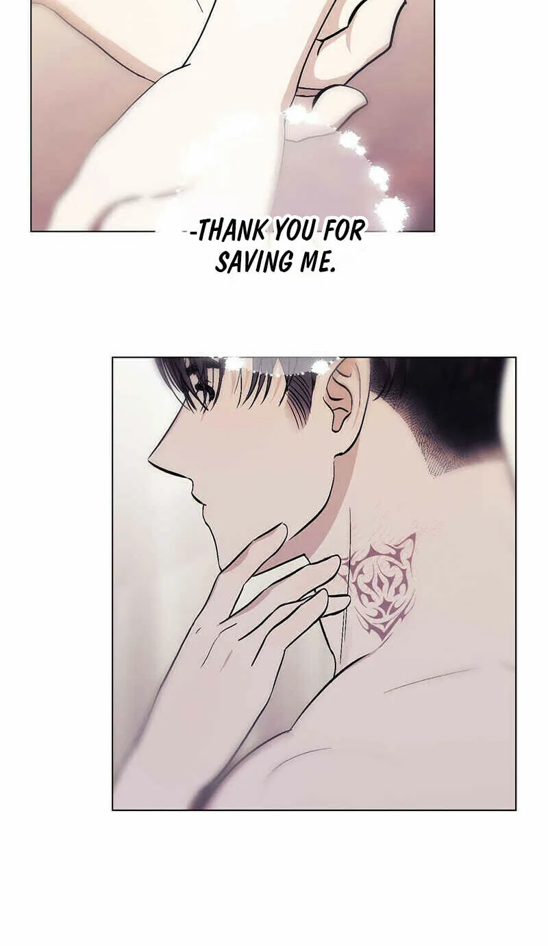 Read Aromatic Love chapter 5 image 55 on Lezhin