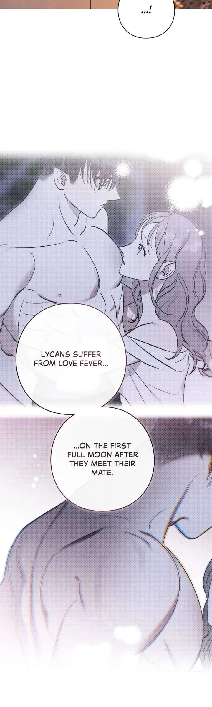 Read Aromatic Love chapter 51 image 12 on Lezhin