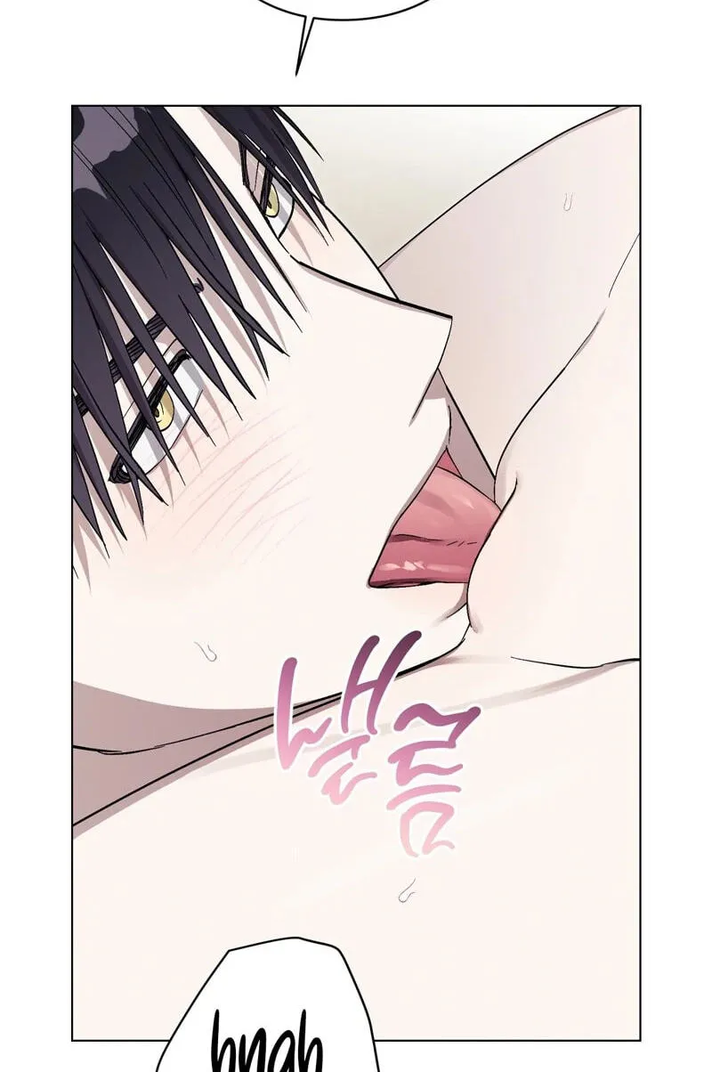 Read Aromatic Love chapter 58 image 24 on Lezhin