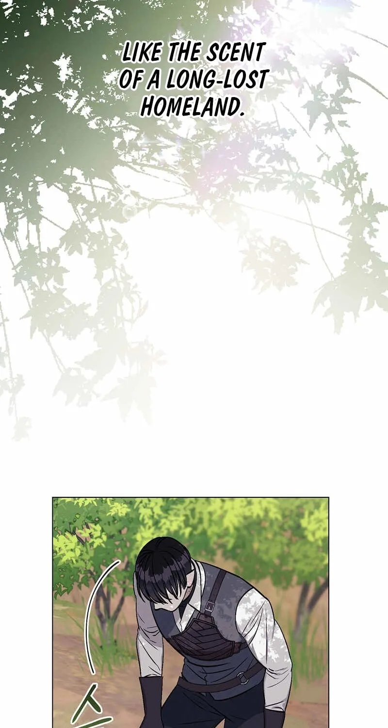 Read Aromatic Love chapter 7 image 35 on Lezhin