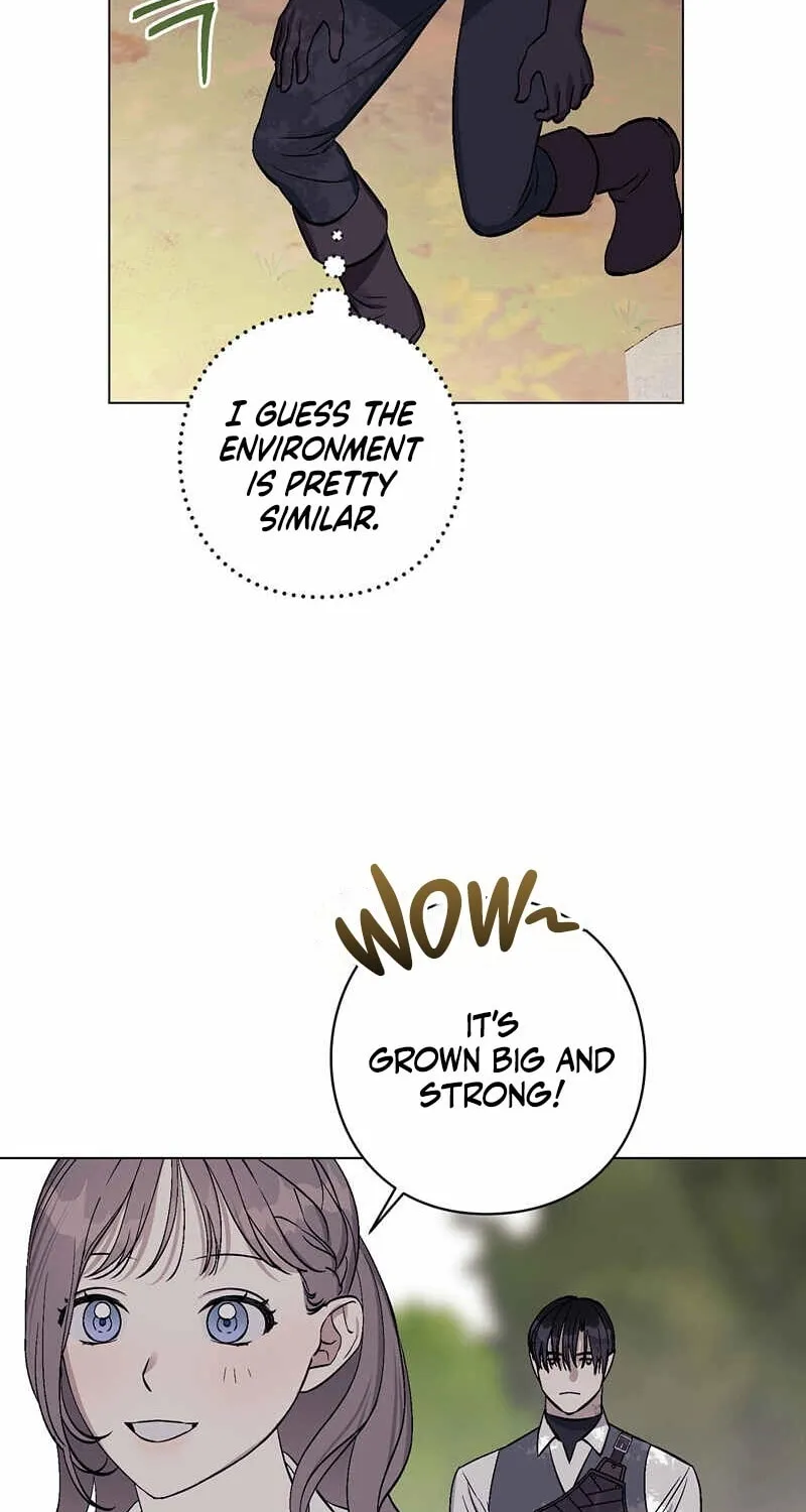 Read Aromatic Love chapter 7 image 36 on Lezhin