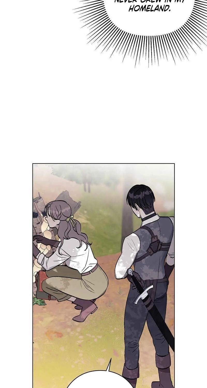Read Aromatic Love chapter 7 image 40 on Lezhin