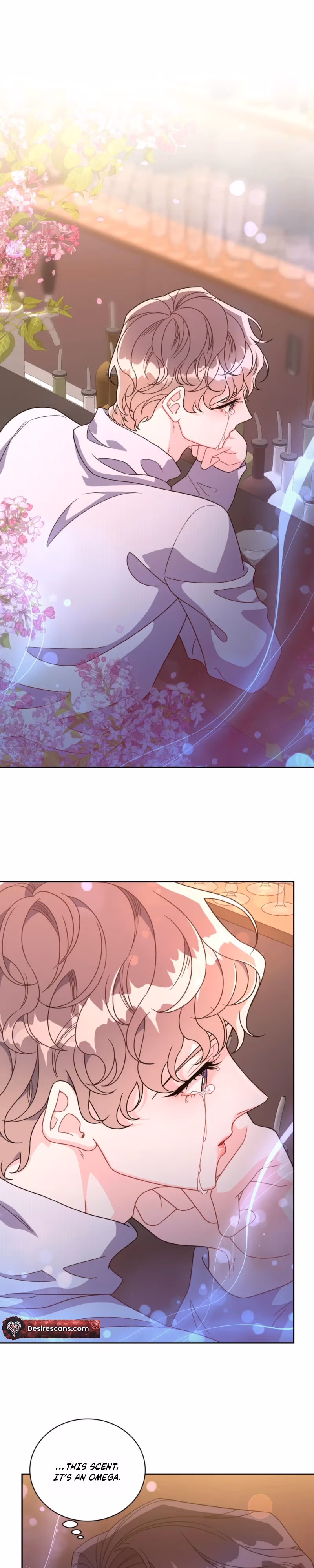 Read Arrogant Alpha chapter 1 image 9 on Lezhin