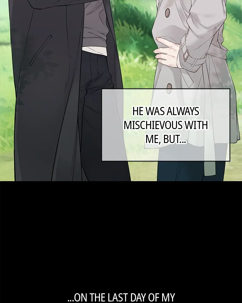 Read As If Love Doesn