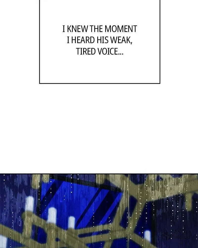 Read As If Love Doesn