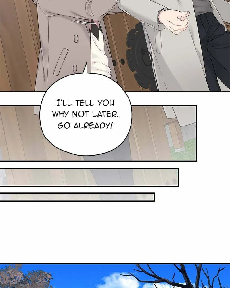 Read As If Love Doesn