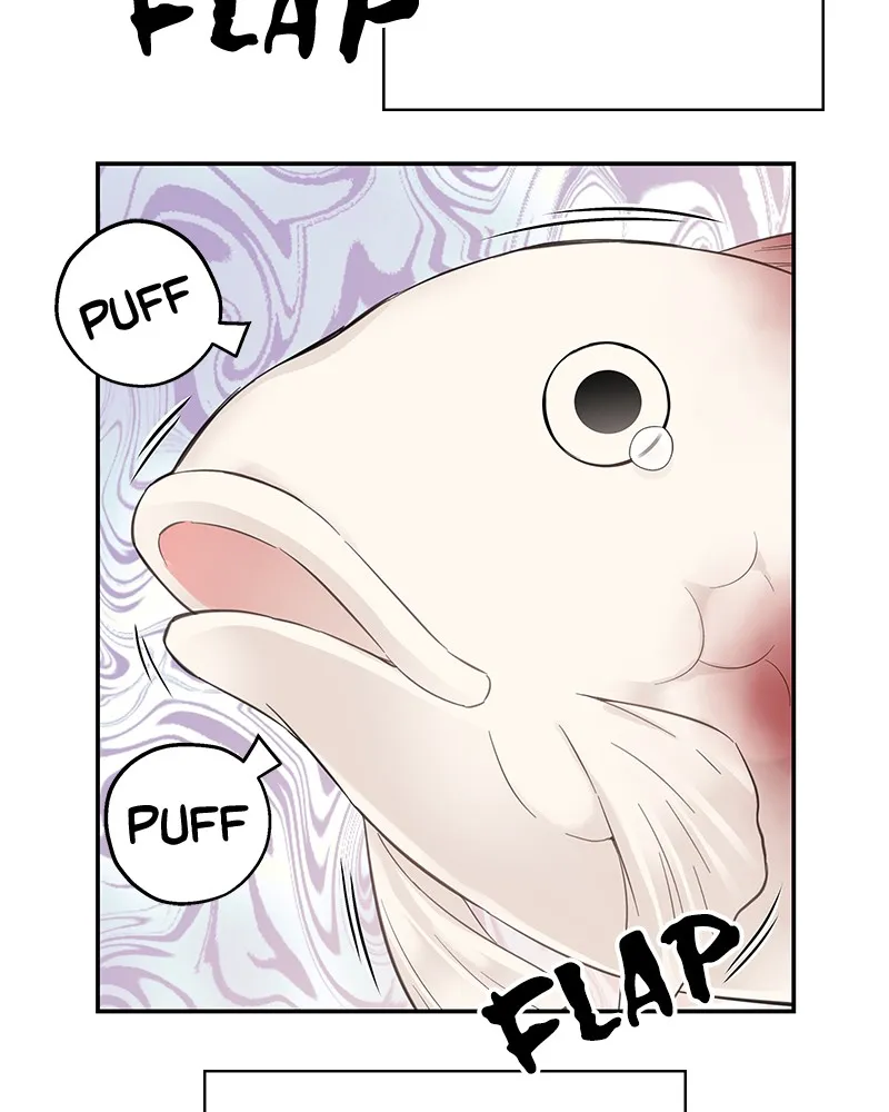 Read As If Love Doesn