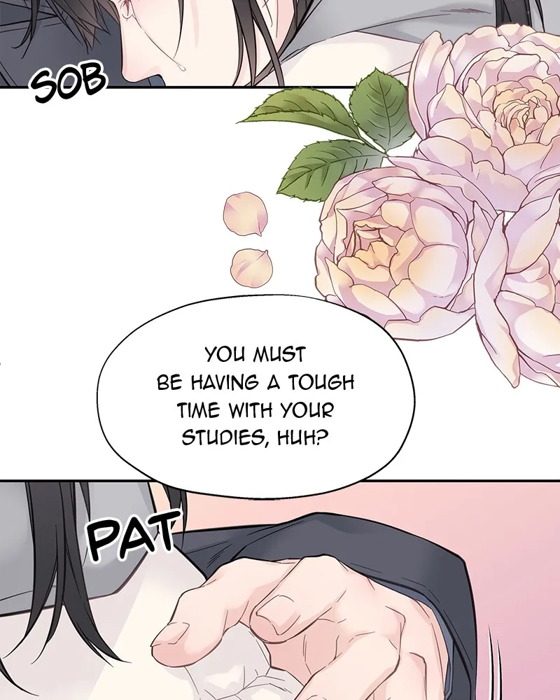Read As If Love Doesn