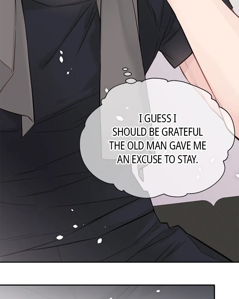 Read As If Love Doesn