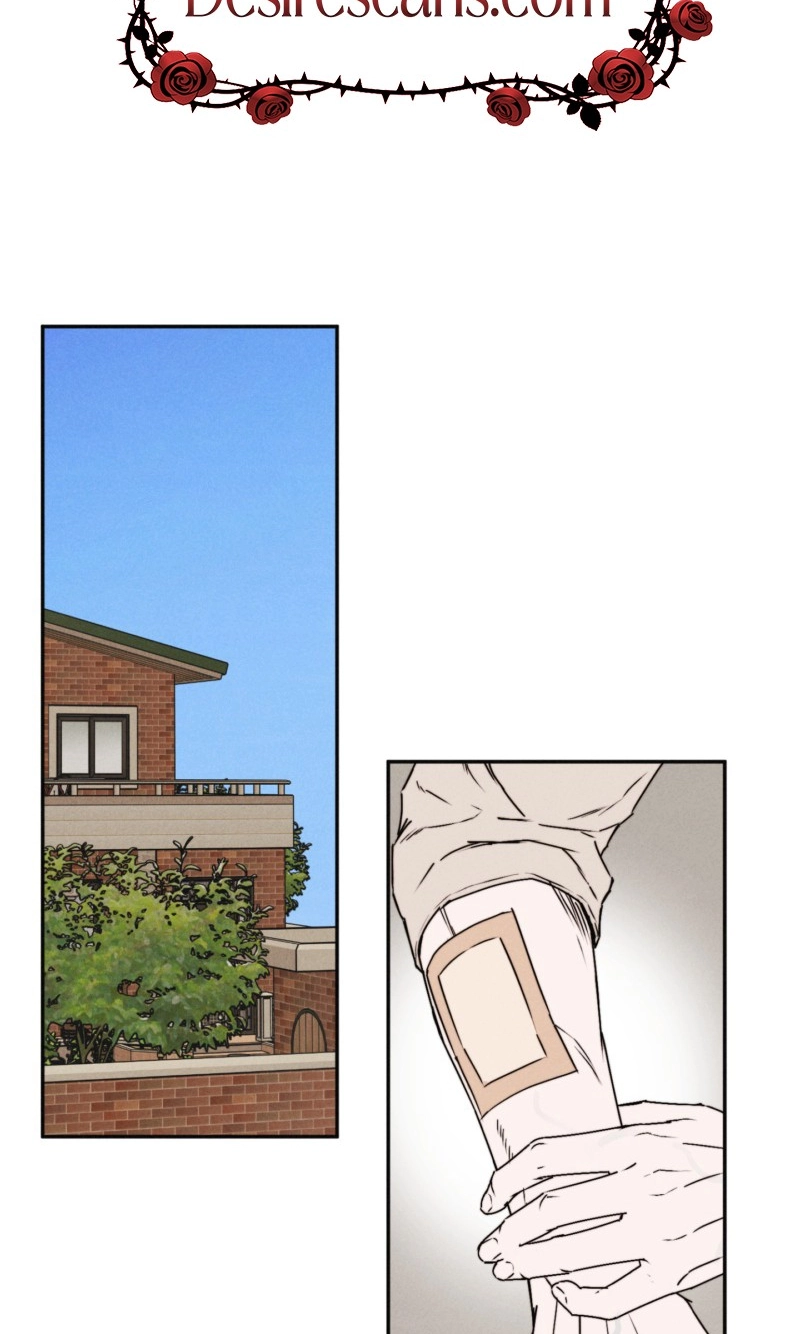 Read As if Someone Had Decided It chapter 12 image 1 on Lezhin