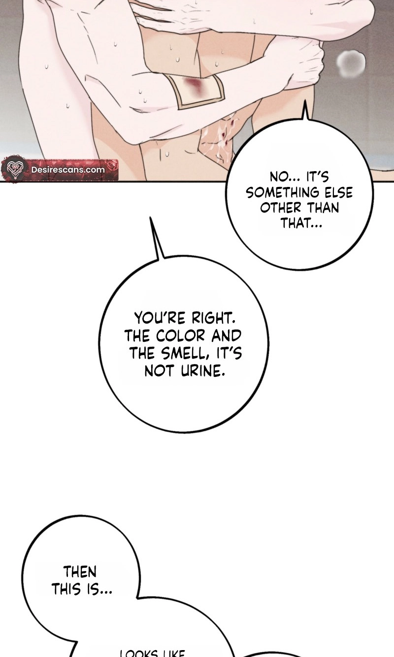 Read As if Someone Had Decided It chapter 17 image 5 on Lezhin