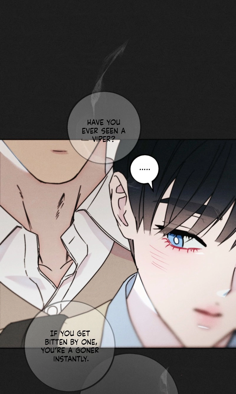 Read As if Someone Had Decided It chapter 21 image 37 on Lezhin