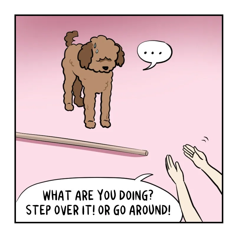 Read As Per Usual chapter 472 image 6 on Lezhin