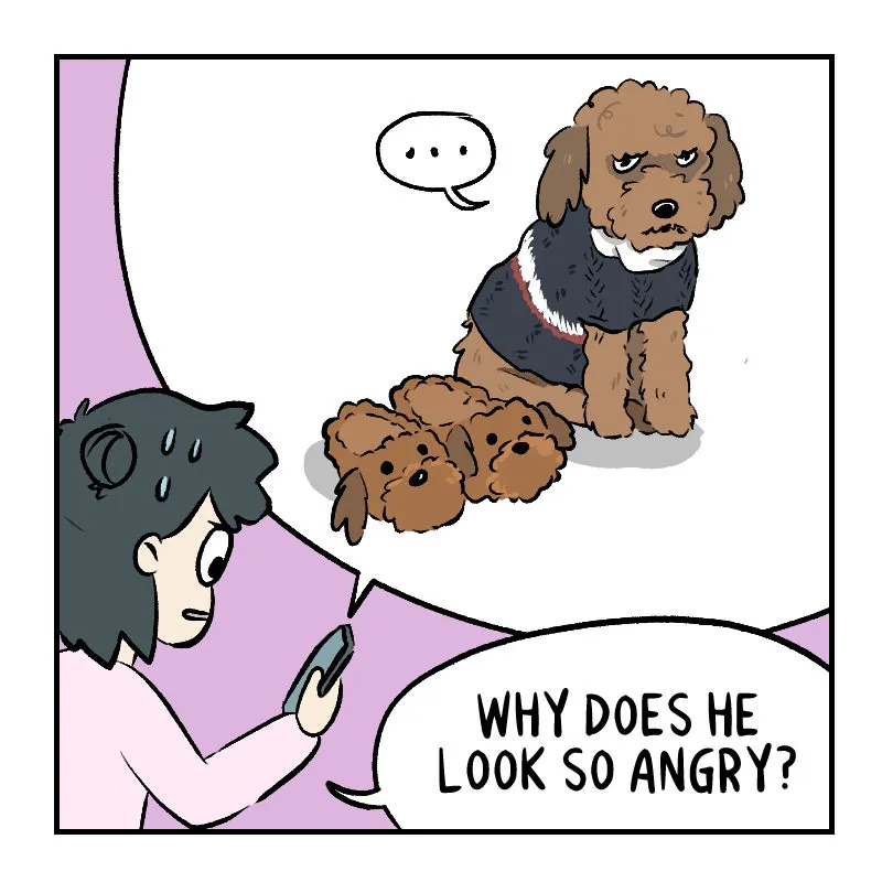 Read As Per Usual chapter 507 image 4 on Lezhin